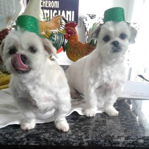 Meet your Posher, Candace